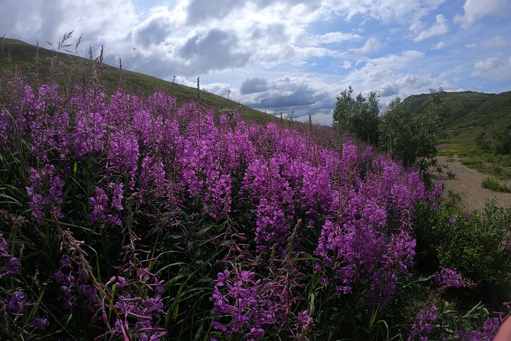 Alpine Classic Trek - thumb 5