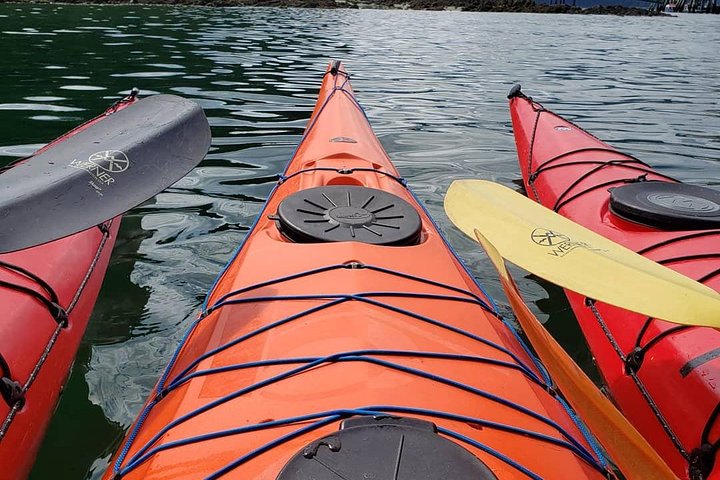 Kayak Tours - thumb 3