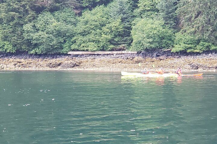 Kayak Tours - thumb 4