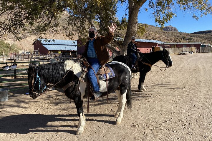 Horseback Riding, Joshua Tree Forest/Buffalo And Lunch/Singing Cowboy Tour - thumb 2