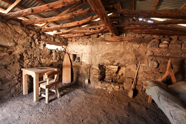 Horseback Riding, Joshua Tree Forest/Buffalo And Lunch/Singing Cowboy Tour - thumb 4