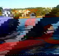 Dolphins and Wildlife Kayak Experience from Gulf Shores - Tourism Bookings