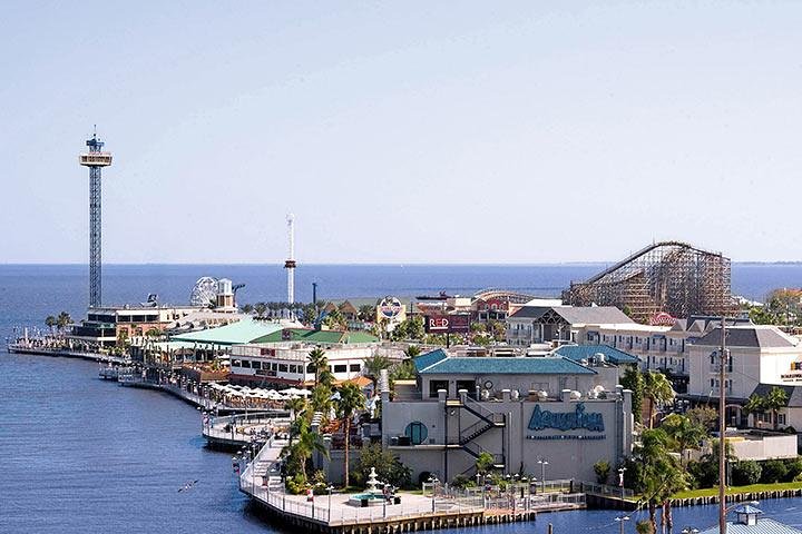 Houston CityPASS - thumb 1