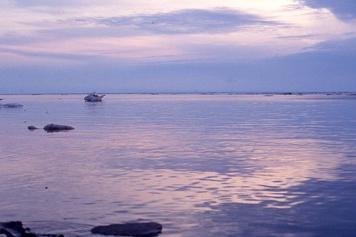 Arctic Ocean Adventure - Northbound - thumb 5