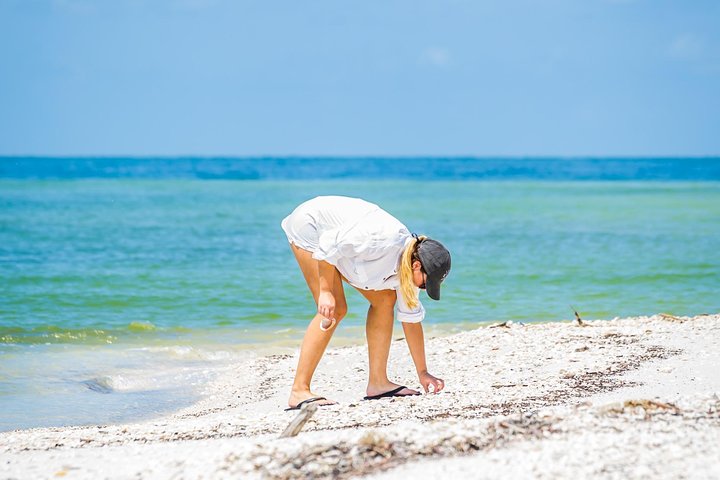 Cape Romano Shelling And Sightseeing Boat Tour From Marco Island - thumb 5