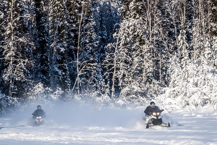 Guided Fairbanks Snowmobile Tour - thumb 4