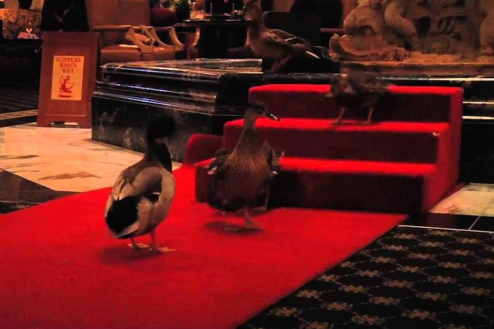 Memphis Discovery Tour - thumb 0