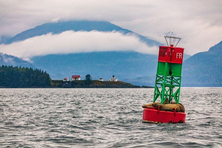 Sunset, Seals, Whales And Suds Evening Whale Watch - thumb 3