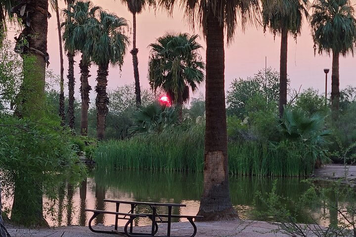 3 Cities & Nature. Morning Or Sunset. Art, Food, Shop. Phoenix, Scotts, Tempe. - thumb 2