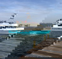 Alabama Gulf Coast Dolphin Cruise - Tourism Bookings