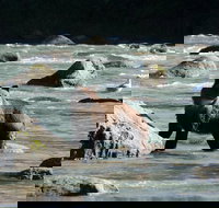 Private Photography Tour Haines Departure - USA Accommodation