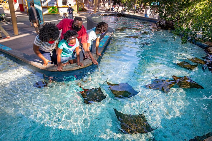 Go City: Los Angeles Explorer Pass - Choose Any 2, 3, 4, 5 Or 7 Attractions - thumb 0