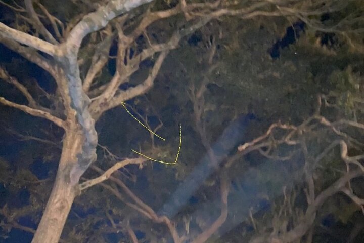 Secrets Of St Augustine Ghost Tours - thumb 1