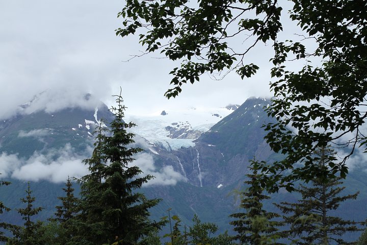 Full-Day Chilkat Inlet Coastal Hike From Haines - thumb 0