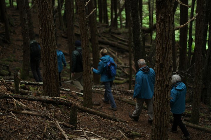 Full-Day Chilkat Inlet Coastal Hike From Haines - thumb 1