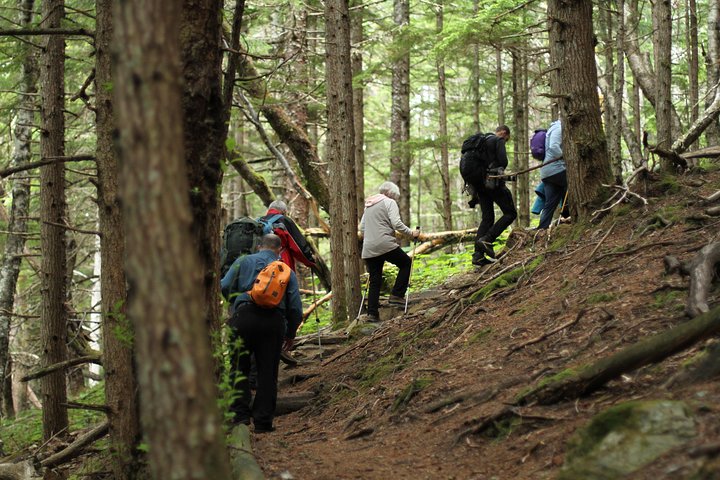 Full-Day Chilkat Inlet Coastal Hike From Haines - thumb 4