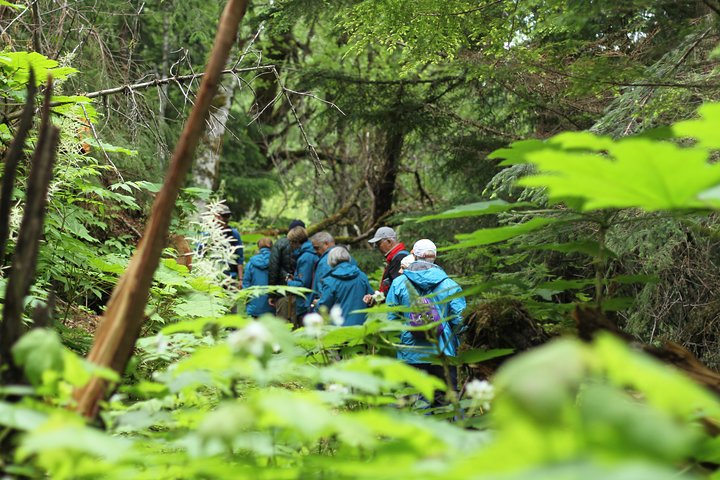 Full-Day Chilkat Inlet Coastal Hike From Haines - thumb 5