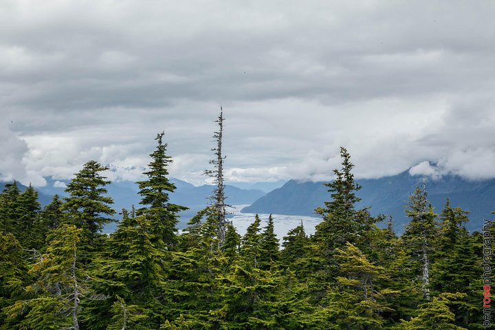 Full-Day Mount Riley Hike From Haines - thumb 1