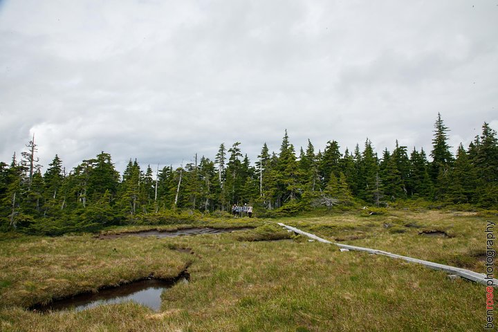 Full-Day Mount Riley Hike From Haines - thumb 2