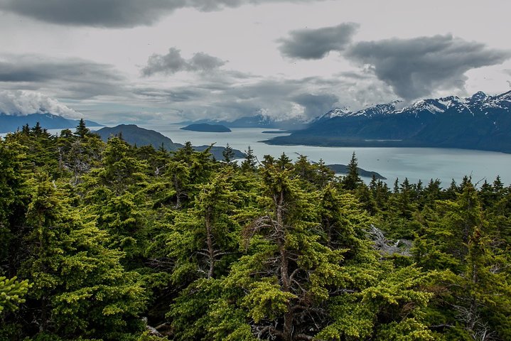 Full-Day Mount Riley Hike From Haines - thumb 3