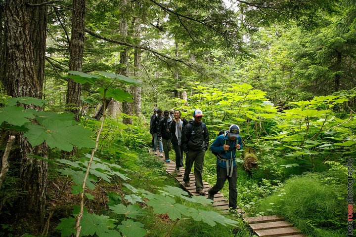 Full-Day Mount Riley Hike From Haines - thumb 4