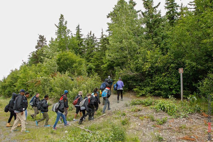 Full-Day Mount Riley Hike From Haines - thumb 5