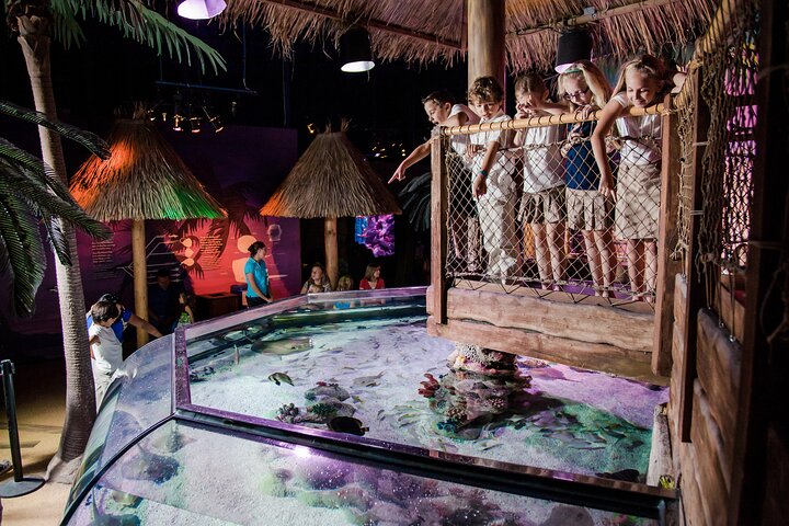 SEA LIFE Aquarium Arizona Admission Ticket - thumb 0