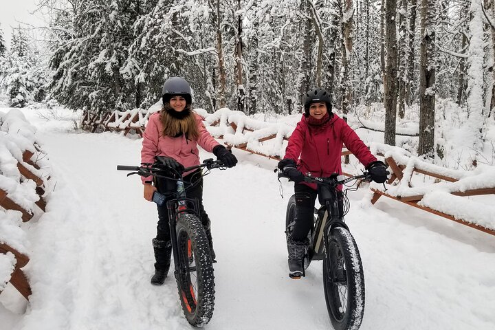 Winter Fat Biking Anchorage Tour - thumb 4