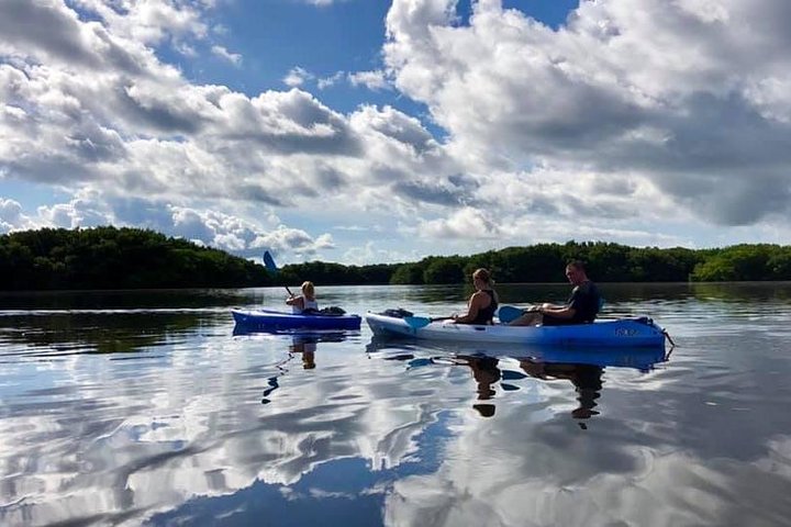 Saint Petersburg Mangrove Kayak Tour - thumb 5