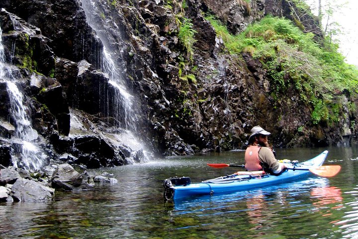 9 Day Alaska Wildlife Tour W. Bear+Whale Viewing, 2 Nat'l Parks, Boutique Hotels - thumb 3