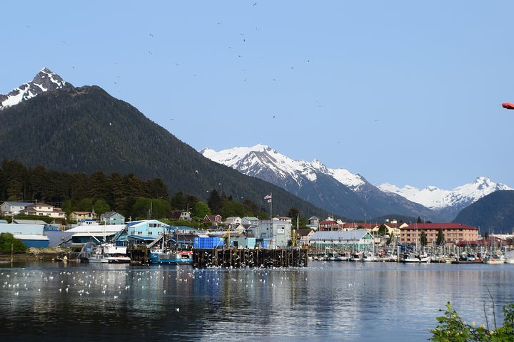 Private Taxi Tour - thumb 4