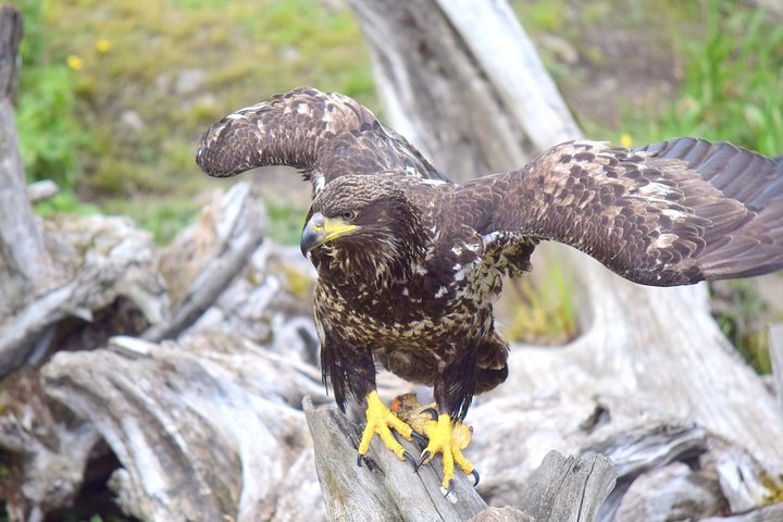 Private Taxi Tour - thumb 5