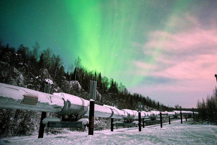 Fairbanks Evening Aurora Viewing Tour - thumb 0