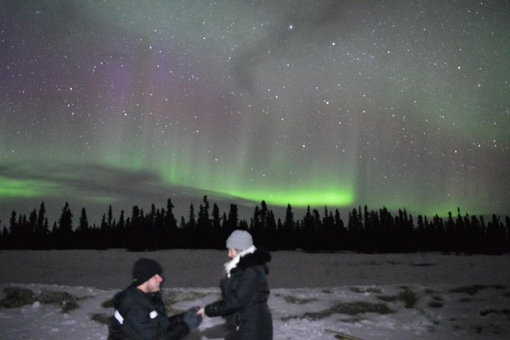 Fairbanks Evening Aurora Viewing Tour - thumb 1