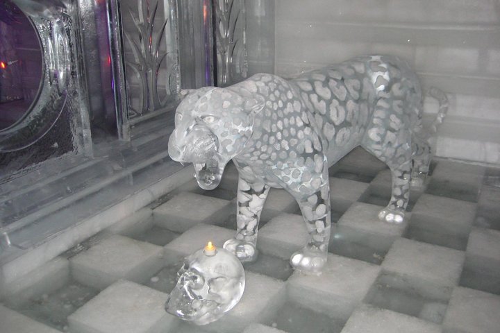 Chena Hot Springs Tour - thumb 4