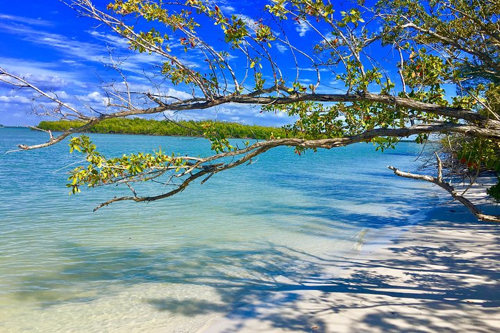 Ten Thousand Islands Boat Tour Up To 12 People - thumb 1