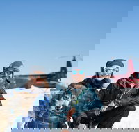 Helicopter Glacier Dogsled Tour with Lower Glacier Landing - USA Accommodation