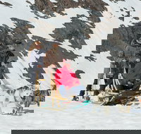 Alaska Helicopter and Glacier Dogsled Tour - USA Accommodation