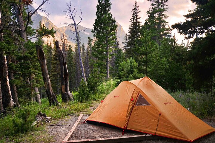 Yosemite Classic Camping Trips - thumb 3
