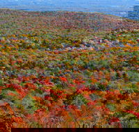 Private Hudson Valley Fall Foliage Helicopter Tour from Westchester 3-5 People - Tourism Bookings