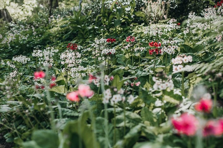 Tour Of The Bloedel Reserve - thumb 2