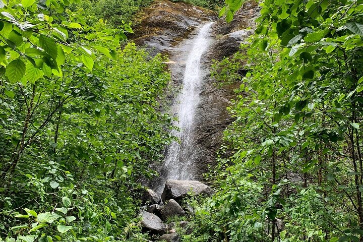 Rainforest & Waterfalls Trek - thumb 5