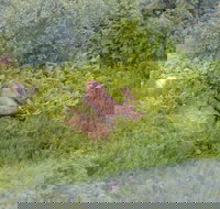 30 Minute Flightseeing Tour from Girdwood - USA Accommodation